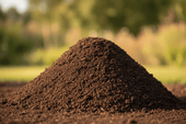 How To Tell If Your Compost Is Healthy: Simple Tips Revealed - Wildmore Compost