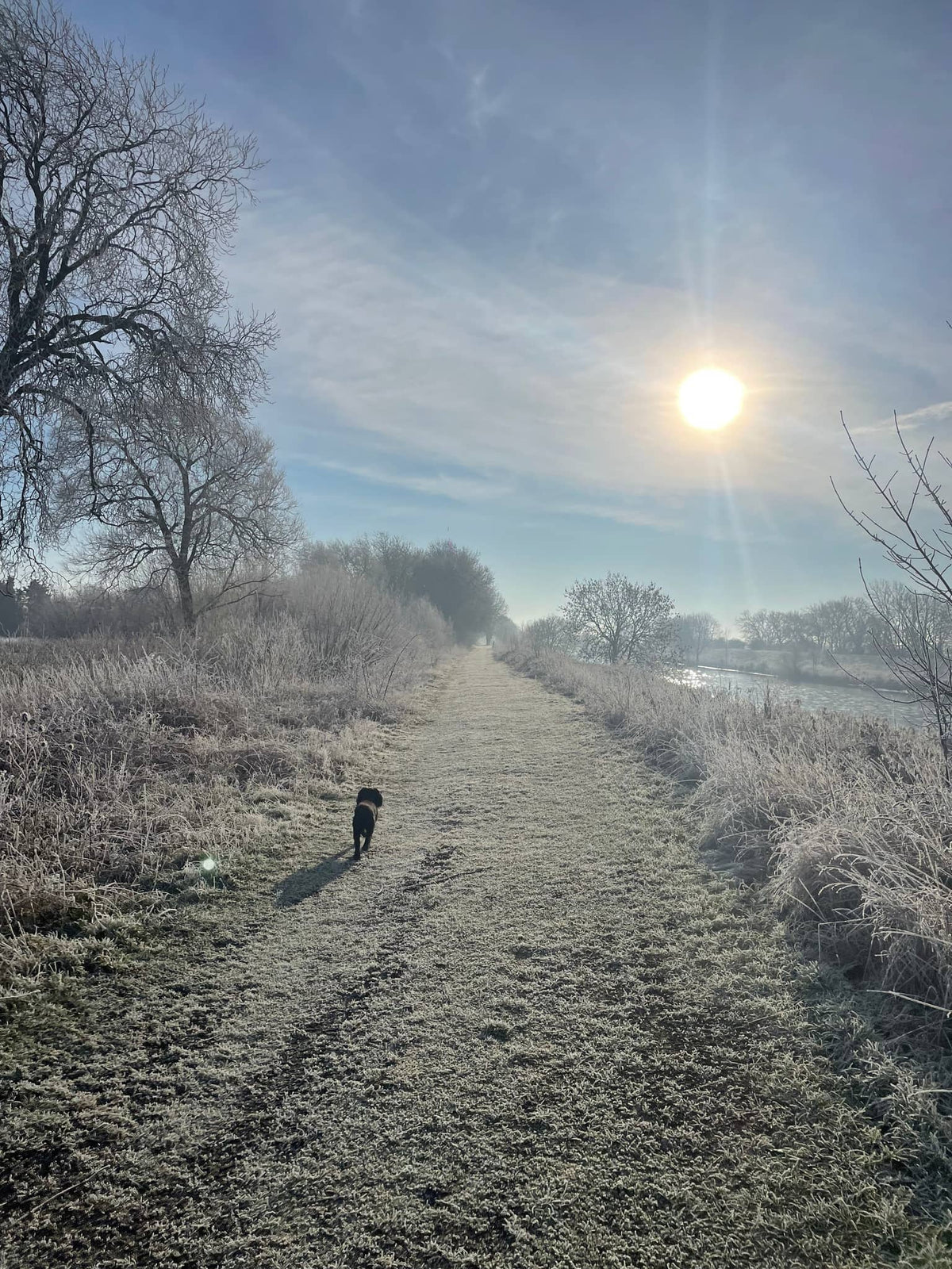 Using Compost in Winter In The UK: Top Tips for Success - Wildmore Compost