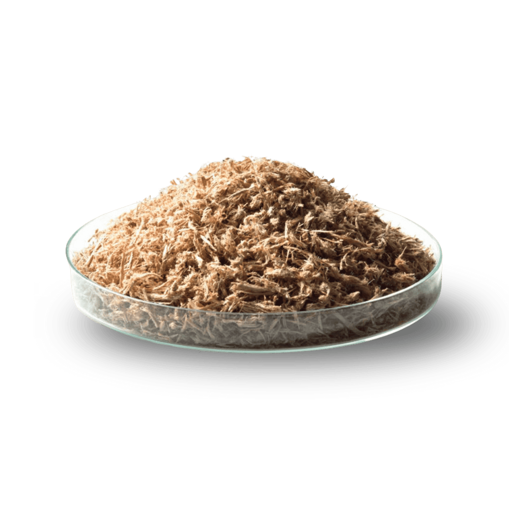 Wood Fibres in a petri dish on a transparent background