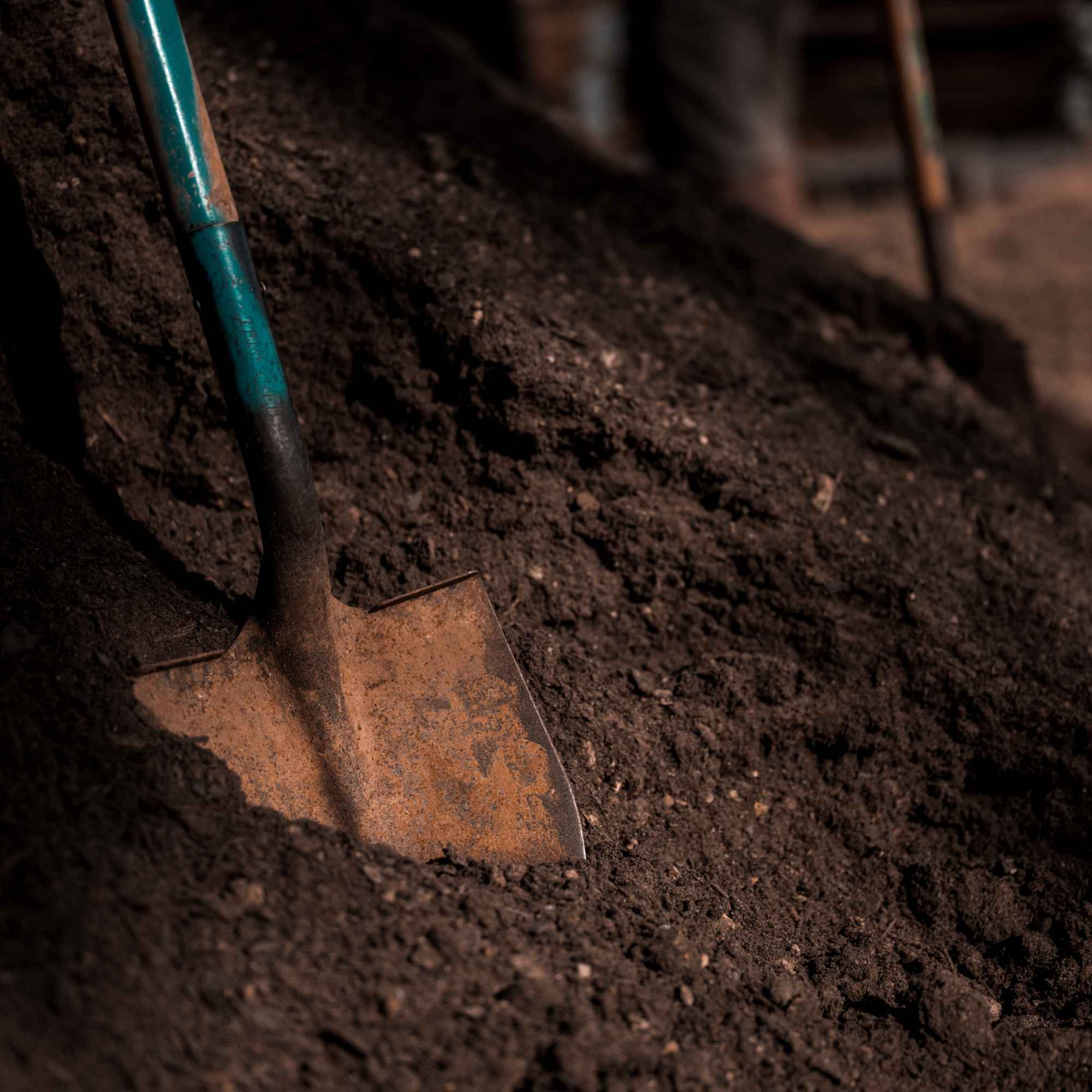 Rusty spade in dark soil